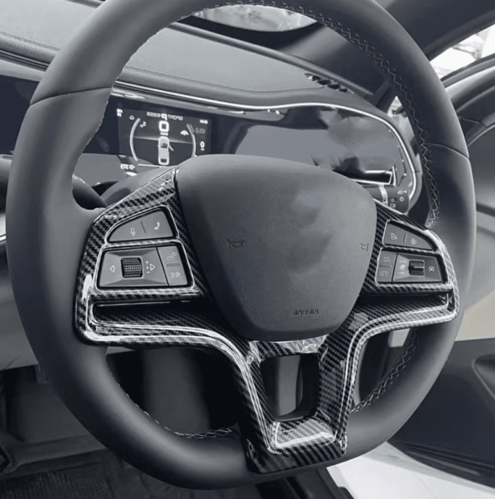 Ốp nội thất BYD M6